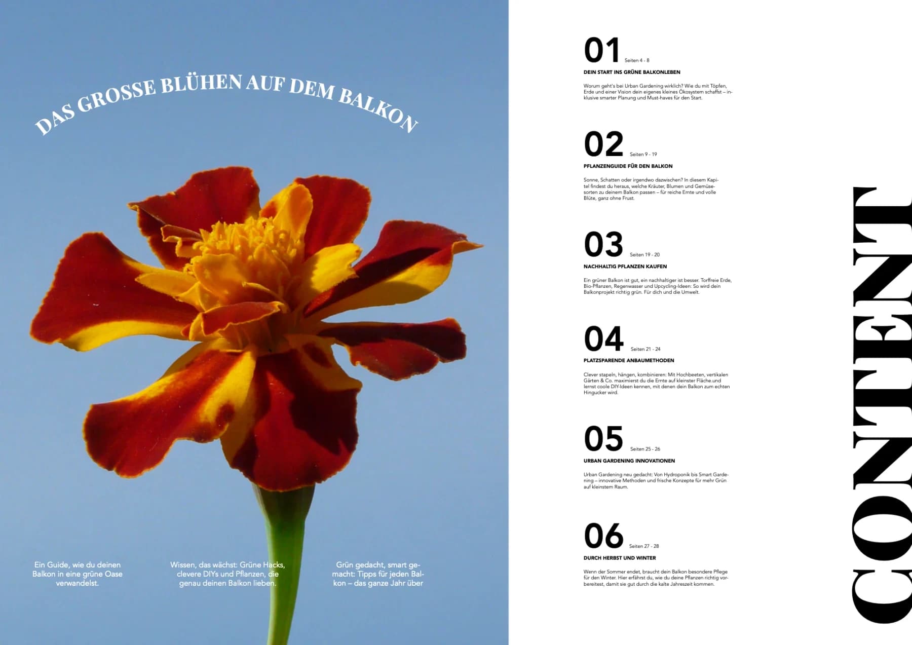 Urban-Gardening-Ratgeber „Dein nachhaltiger Balkon“, Doppelseite 1: Pflanzenfotos, grüne Flächen und Text in Spalten
