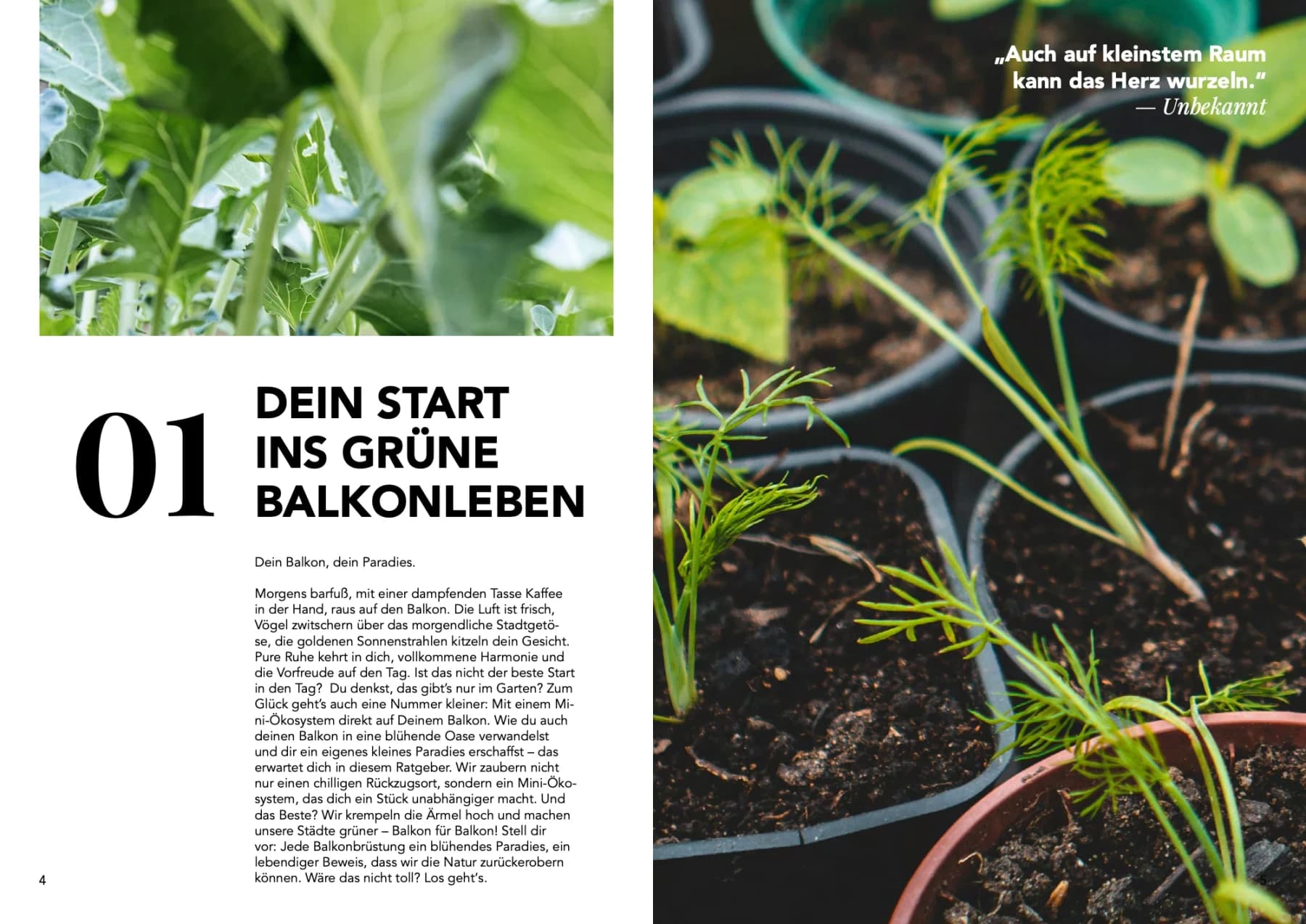 Urban-Gardening-Ratgeber „Dein nachhaltiger Balkon“, Doppelseite 2: Pflanzenfotos, grüne Flächen und Text in Spalten