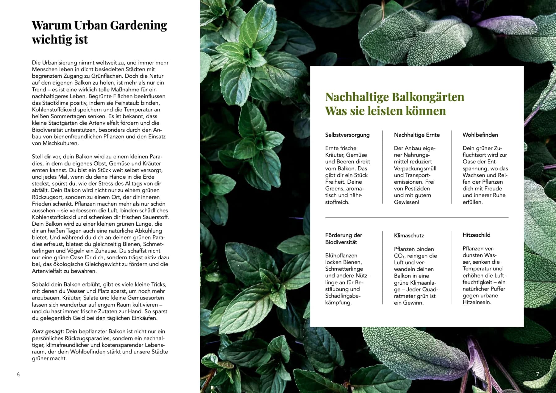 Urban-Gardening-Ratgeber „Dein nachhaltiger Balkon“, Doppelseite 3: Pflanzenfotos, grüne Flächen und Text in Spalten