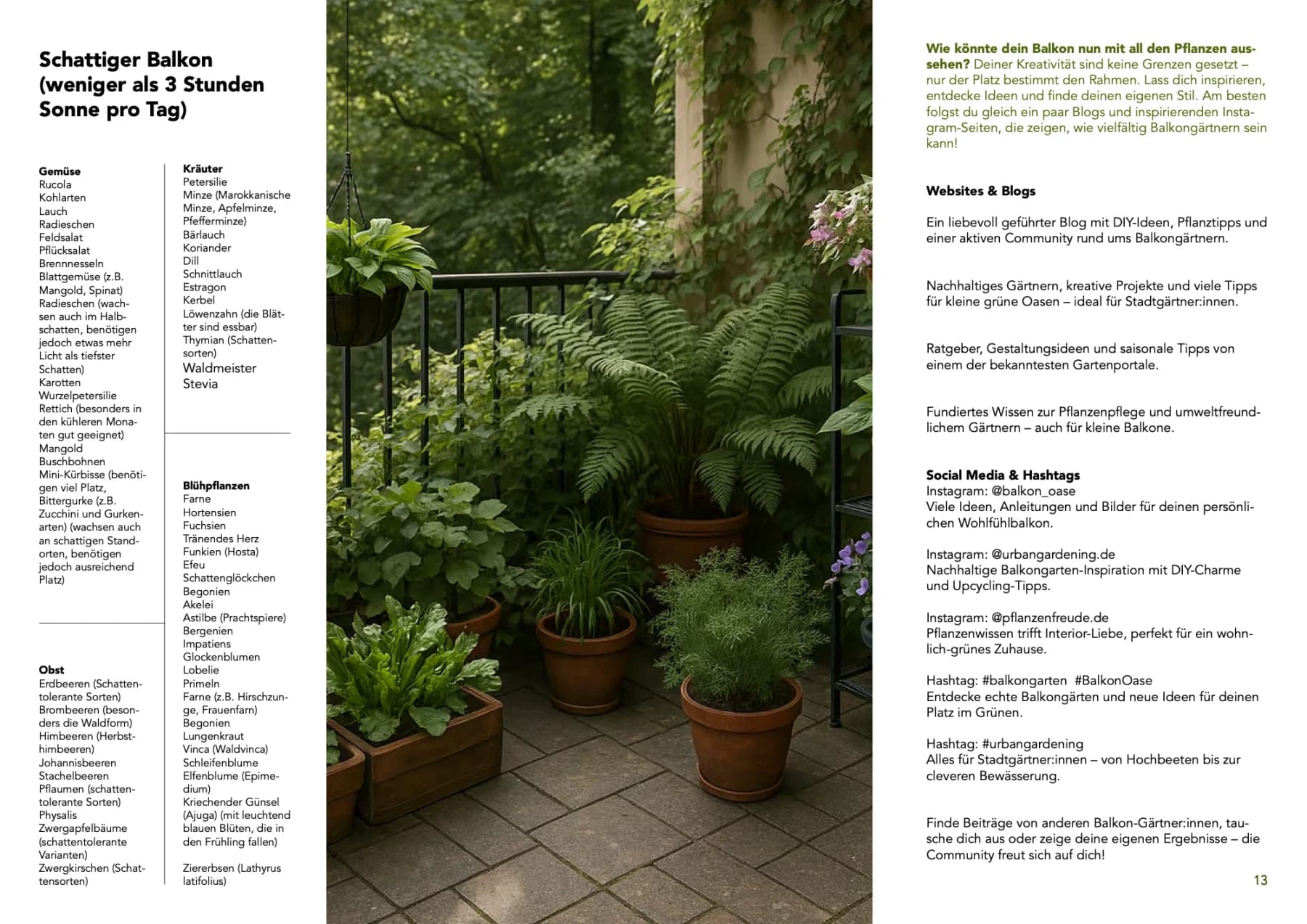 Urban-Gardening-Ratgeber „Dein nachhaltiger Balkon“, Doppelseite 6: Pflanzenfotos, grüne Flächen und Text in Spalten