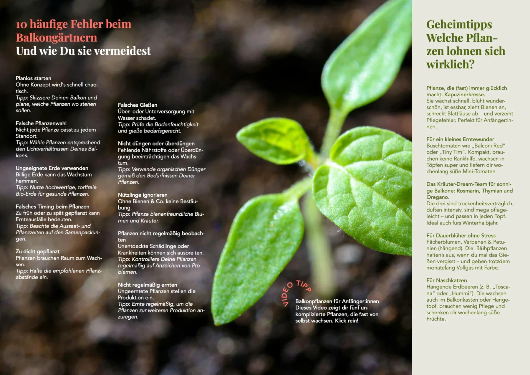 Urban-Gardening-Ratgeber „Dein nachhaltiger Balkon“, Doppelseite 7: Pflanzenfotos, grüne Flächen und Text in Spalten