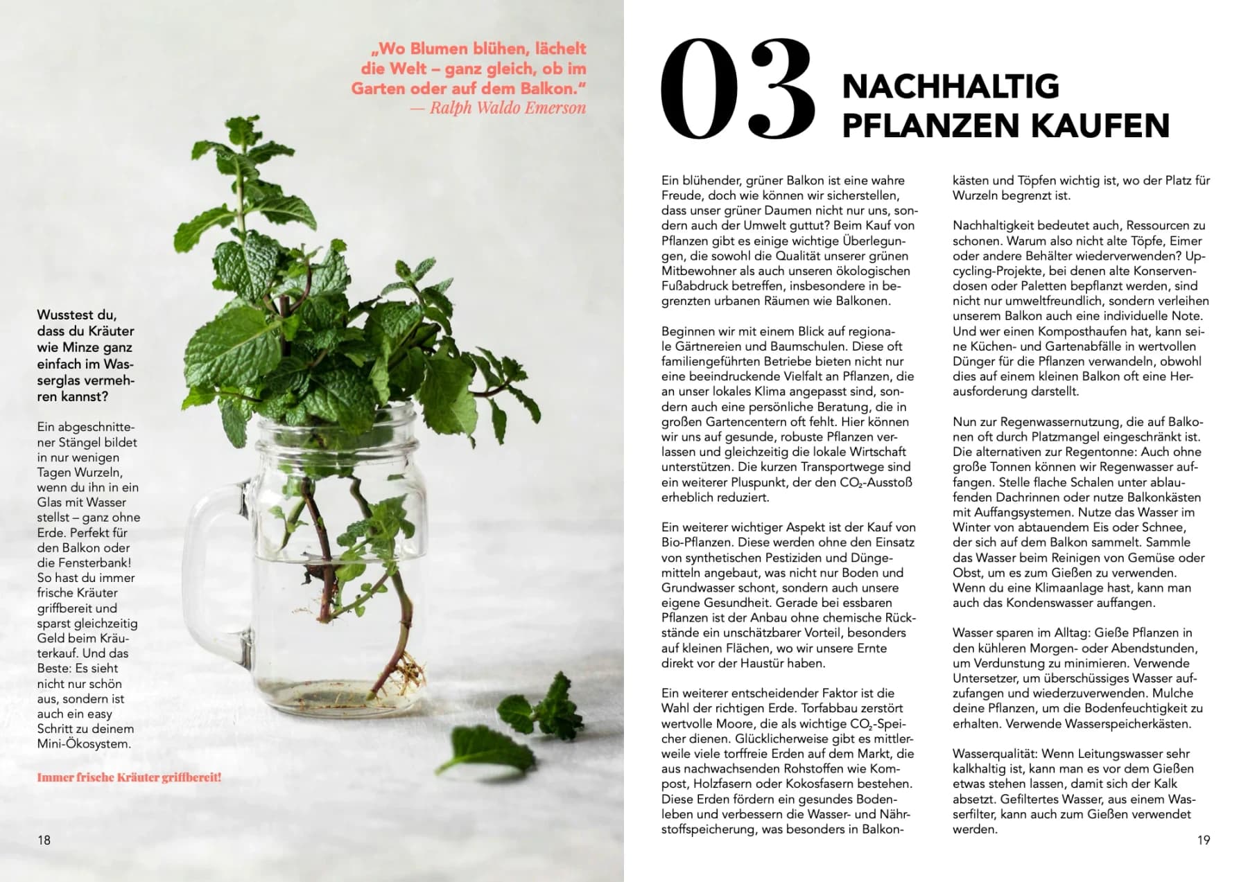 Urban-Gardening-Ratgeber „Dein nachhaltiger Balkon“, Doppelseite 9: Pflanzenfotos, grüne Flächen und Text in Spalten