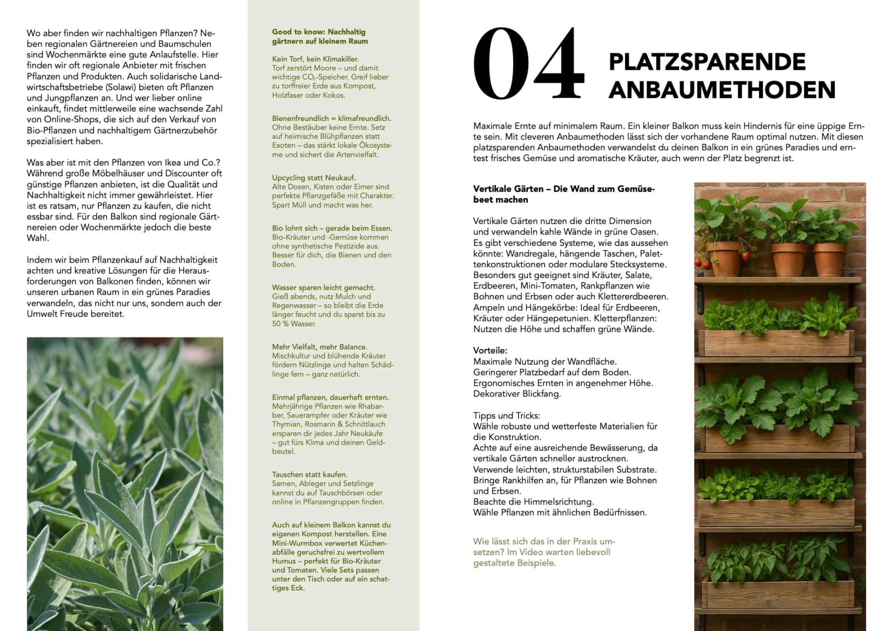 Urban-Gardening-Ratgeber „Dein nachhaltiger Balkon“, Doppelseite 10: Pflanzenfotos, grüne Flächen und Text in Spalten