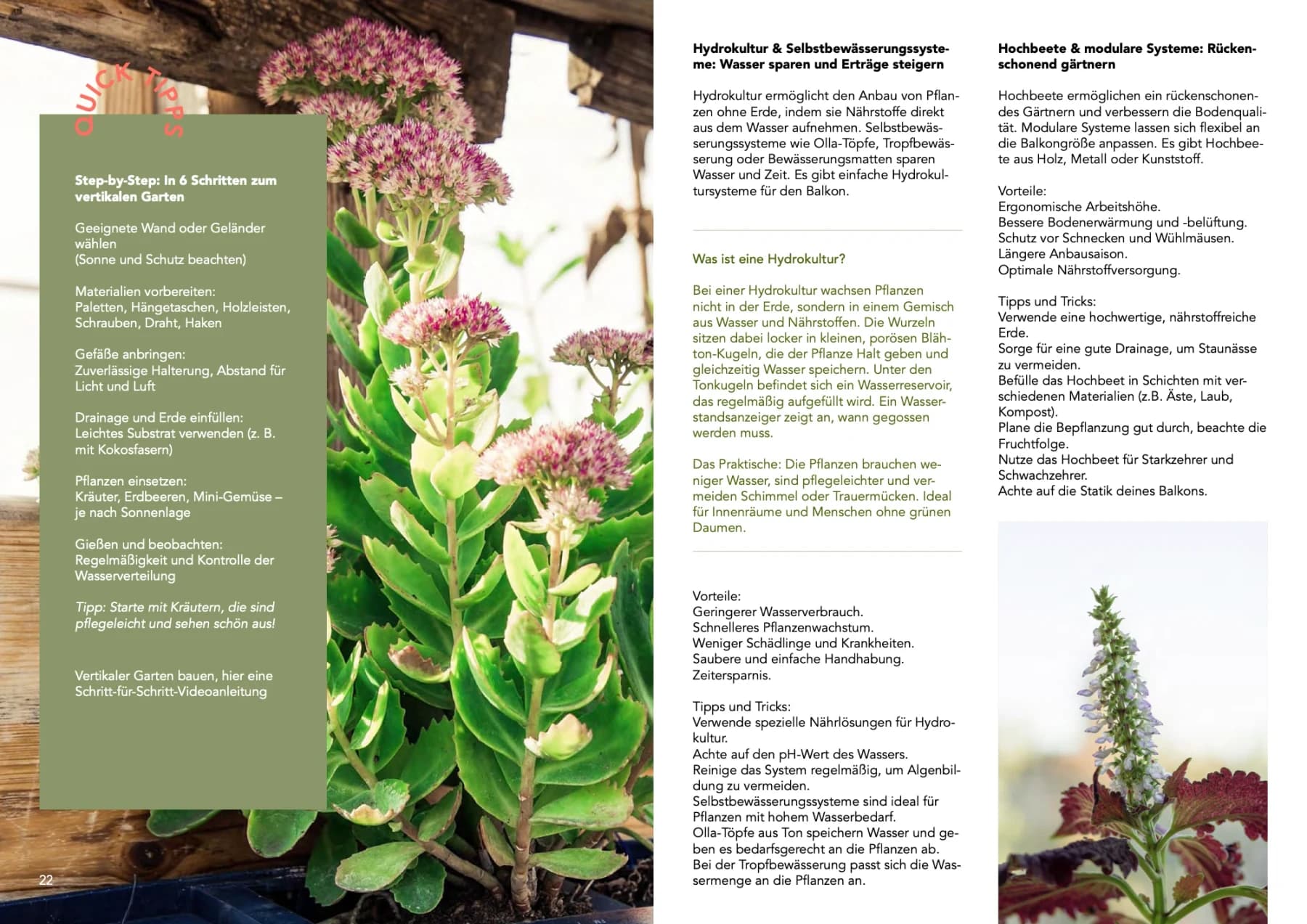 Urban-Gardening-Ratgeber „Dein nachhaltiger Balkon“, Doppelseite 11: Pflanzenfotos, grüne Flächen und Text in Spalten