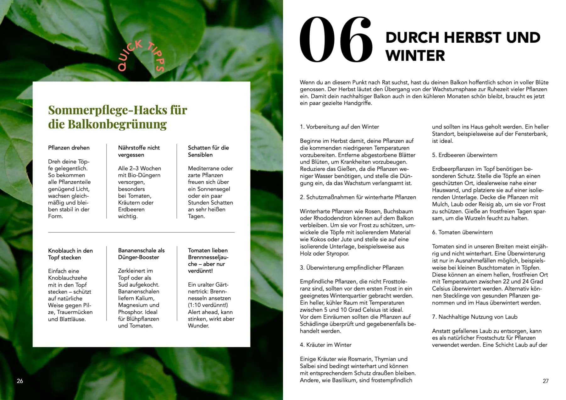 Urban-Gardening-Ratgeber „Dein nachhaltiger Balkon“, Doppelseite 13: Pflanzenfotos, grüne Flächen und Text in Spalten