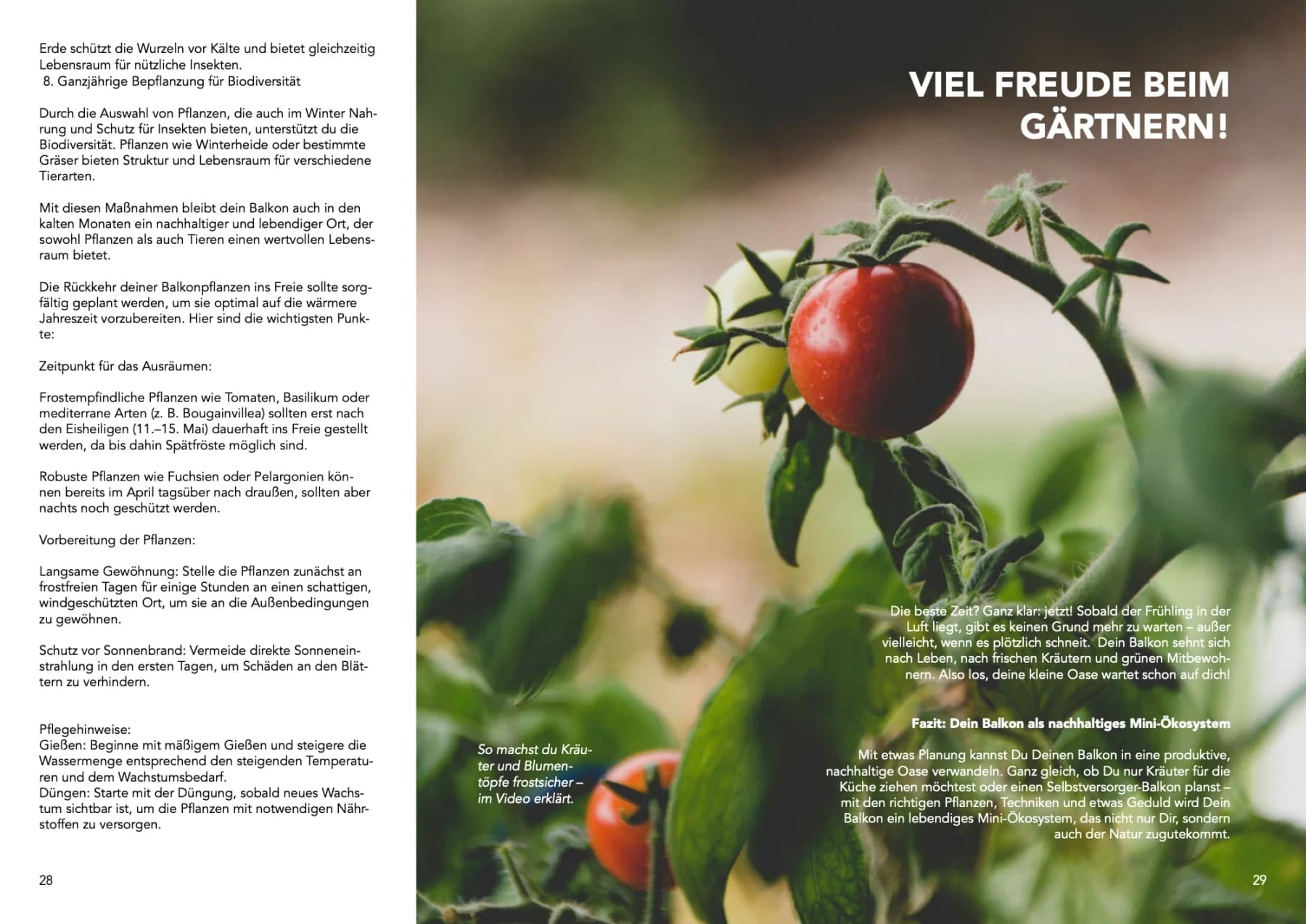 Urban-Gardening-Ratgeber „Dein nachhaltiger Balkon“, Doppelseite 14: Pflanzenfotos, grüne Flächen und Text in Spalten