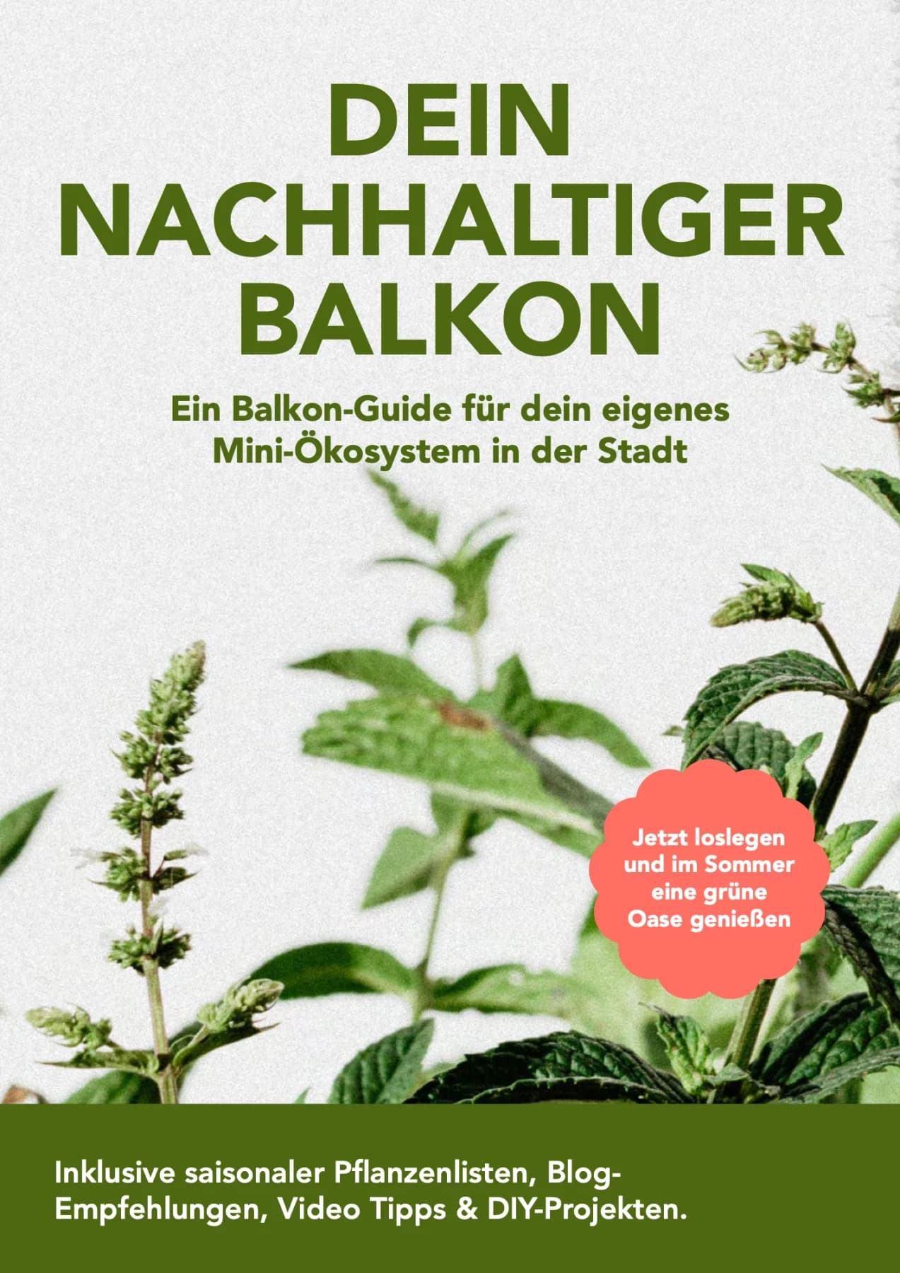 Urban-Gardening-Ratgeber, Titelseite: „Dein nachhaltiger Balkon – ein Balkon-Guide für dein eigenes Mini-Ökosystem in der Stadt“ mit Kräutern vor hellem Hintergrund